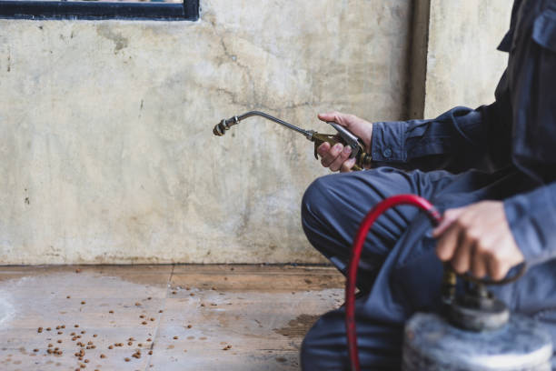Best Affordable Pest Control Services  in Sweet Home, AR